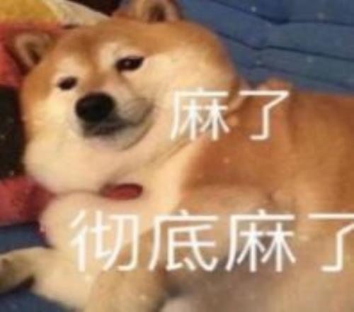 国足备战日,程公布,吾米提江,美高梅(MGM)最新官方网站,美高梅,(1888-MGM认证),美高梅mgm1888,美高梅mgm最新登录入口