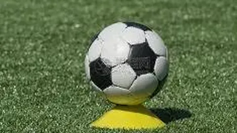 美高梅mgm最新登录入口 资讯 095610 z2c