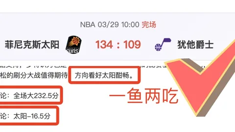 大乐透期号专家推荐：越南联质合分析前区十码精选